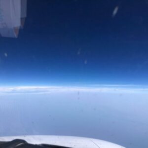 AAM Intl (11) AAM Intl (11)