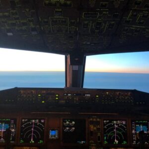 AAM Intl (13) AAM Intl (13)