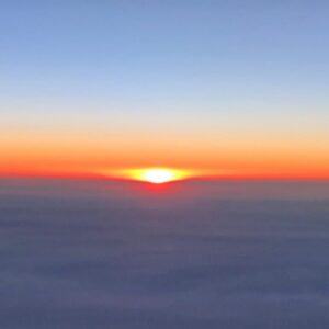 AAM Intl (7) AAM Intl (7)